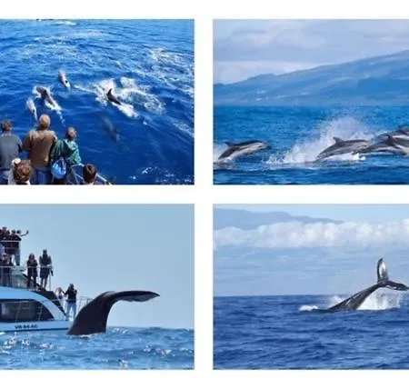 2stay - Luxury 蓬塔德尔加达