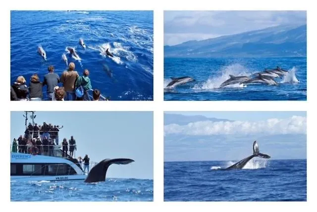 2stay - Luxury Ponta Delgada